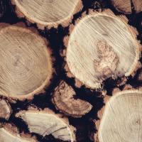 4 Compelling Reasons Why Visiting A Lumber Yard Is Better