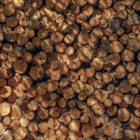 4 Situations That Require a High-Quality Mississauga Lumber Supplier